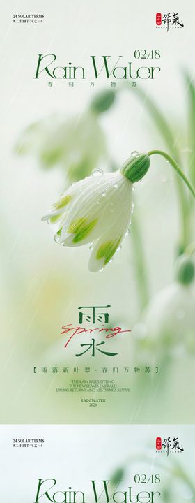 雨水花朵节气海报