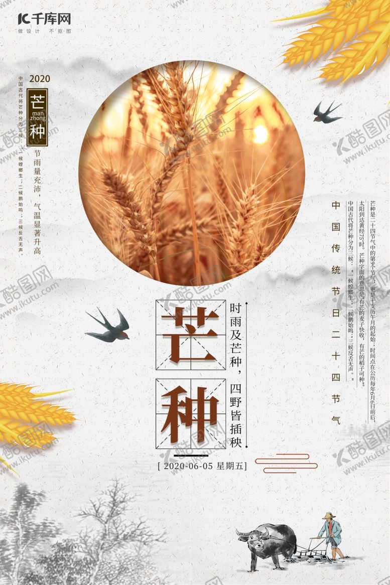 编号：61975406252352372279【酷图网】源文件下载-芒种小麦农夫牛橙色简约海报