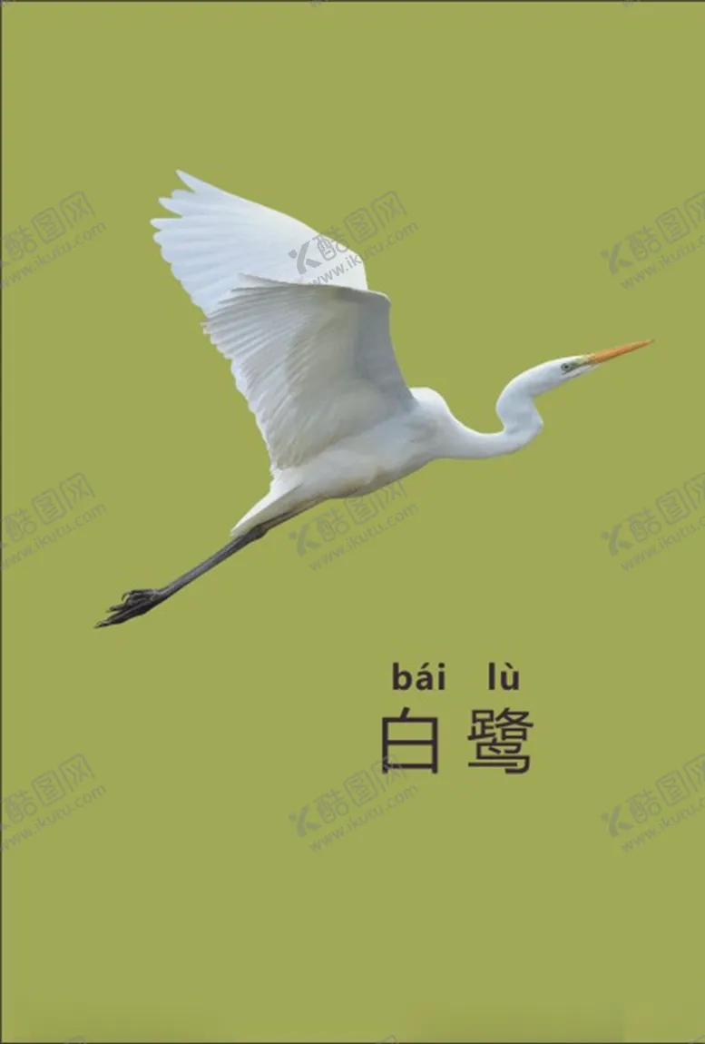 编号：48048203161135427163【酷图网】源文件下载-白鹭绘本
