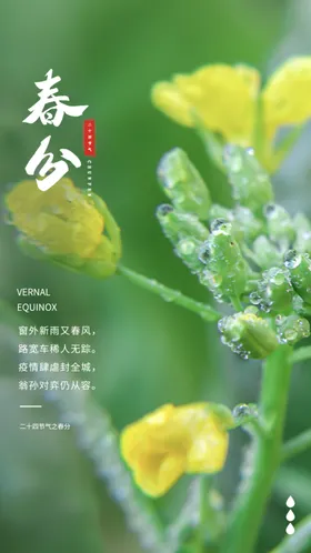 春分24节气设计立蛋宣传