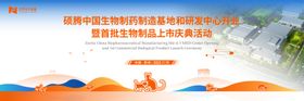 橙色商业宠物猫咪活动主背景kv