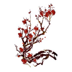 梅花素材