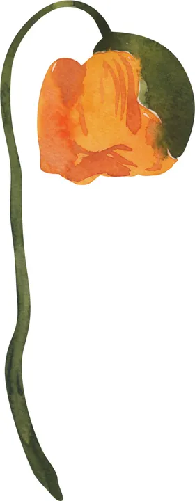花素材手棒玫瑰乱