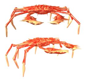 海鲜图案