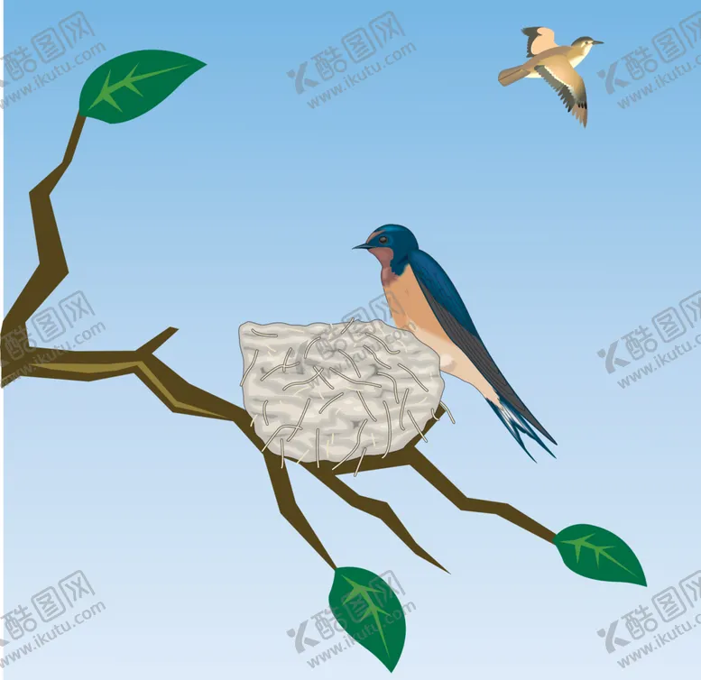 燕子手绘鸟类卡通