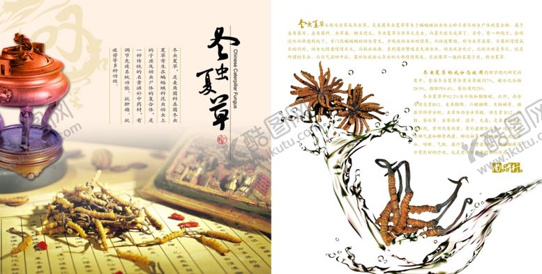 编号：48893005090135101415【酷图网】源文件下载-养生健康海报