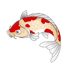 锦鲤金鱼插画国潮素材池塘公园年年有