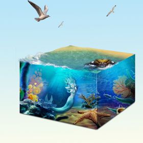 海洋生态环保
