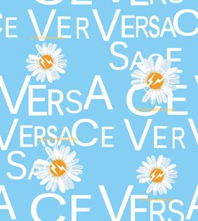 大牌菊花LV数码字母