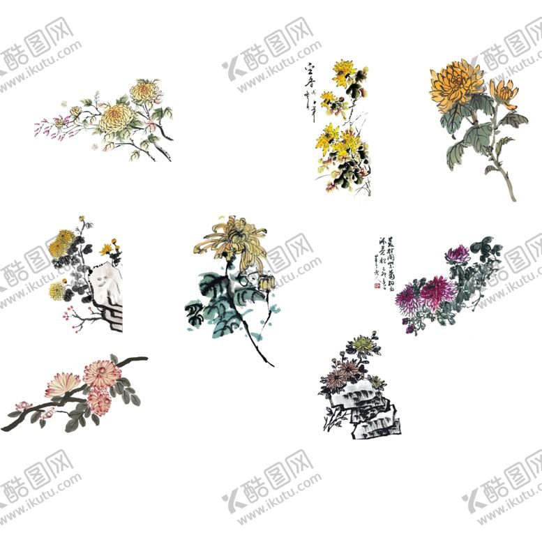 编号：48937509171614111490【酷图网】源文件下载-菊花