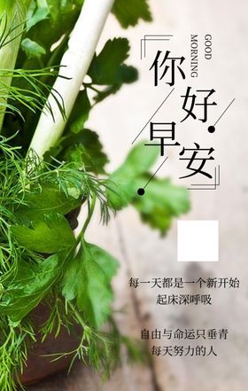 你好早安植物叶子海报