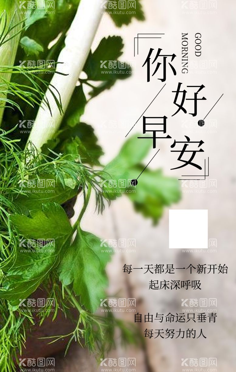 编号：42816103100237527802【酷图网】源文件下载-早安你好植物绿色海报