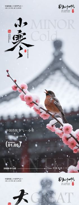 小寒大寒梅花中式地产海报