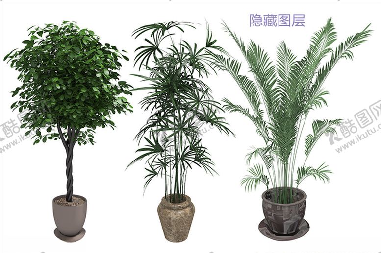 编号：66484506271408363928【酷图网】源文件下载-盆栽植物