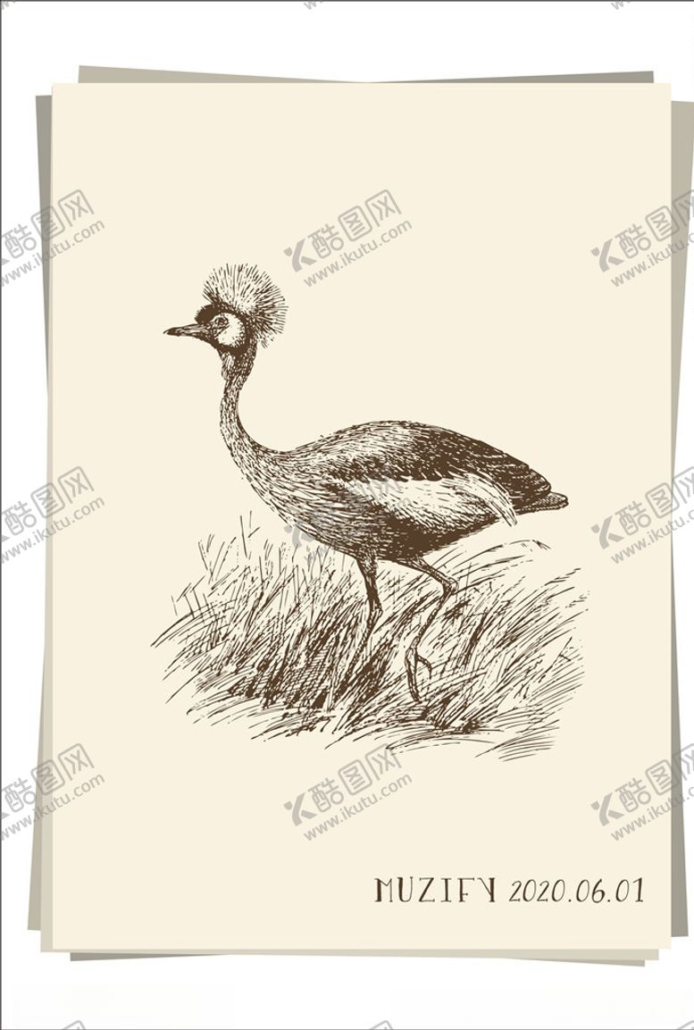编号：27660306270708454817【酷图网】源文件下载-黑孔雀素描画
