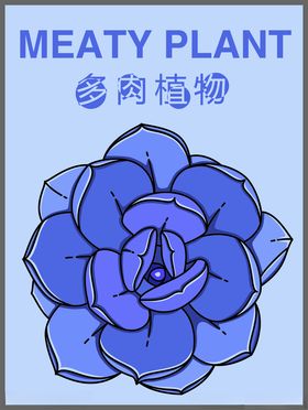 多肉矢量图