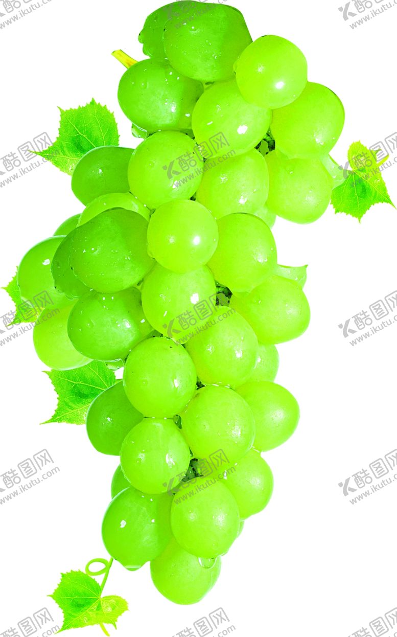 编号：35215405102310239470【酷图网】源文件下载-葡萄