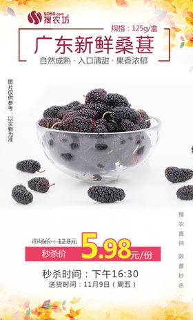 广东新鲜桑葚秒杀