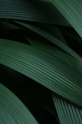 地产精装价值点海报