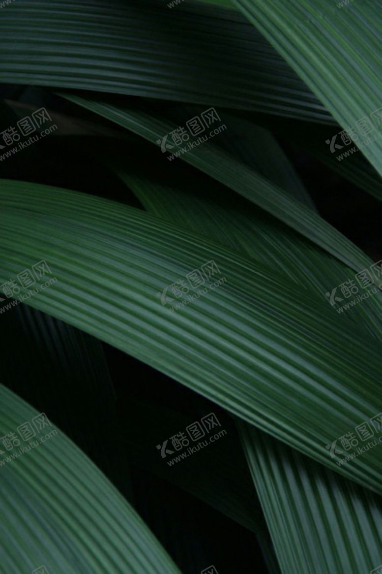 编号：63679005241515501305【酷图网】源文件下载-地产精装价值点海报