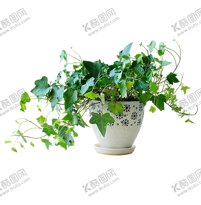 编号：41404007062144222554【酷图网】源文件下载-绿色植物