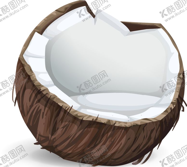 编号：93104409222111519852【酷图网】源文件下载-矢量椰子