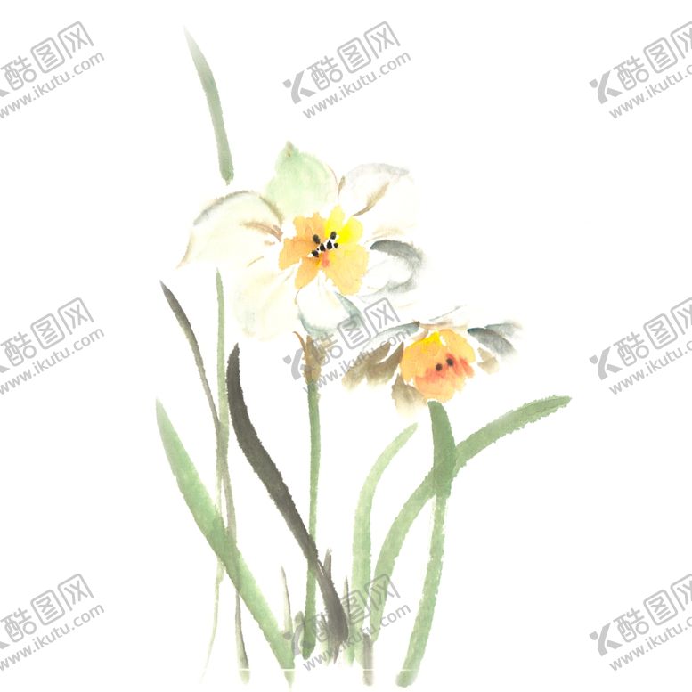编号：40659202030434134334【酷图网】源文件下载-水墨彩色水仙