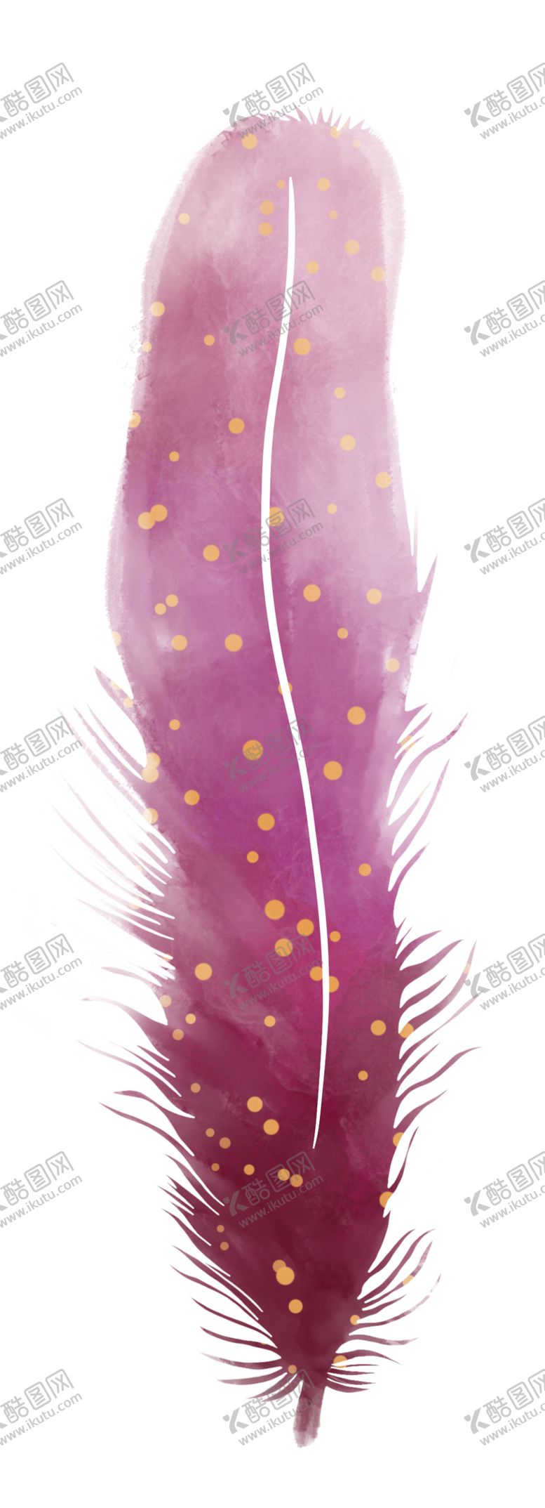 编号：62325502170644096996【酷图网】源文件下载-羽毛 素材