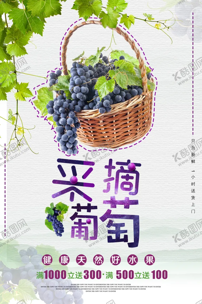 编号：01267809151230470735【酷图网】源文件下载-采摘葡萄