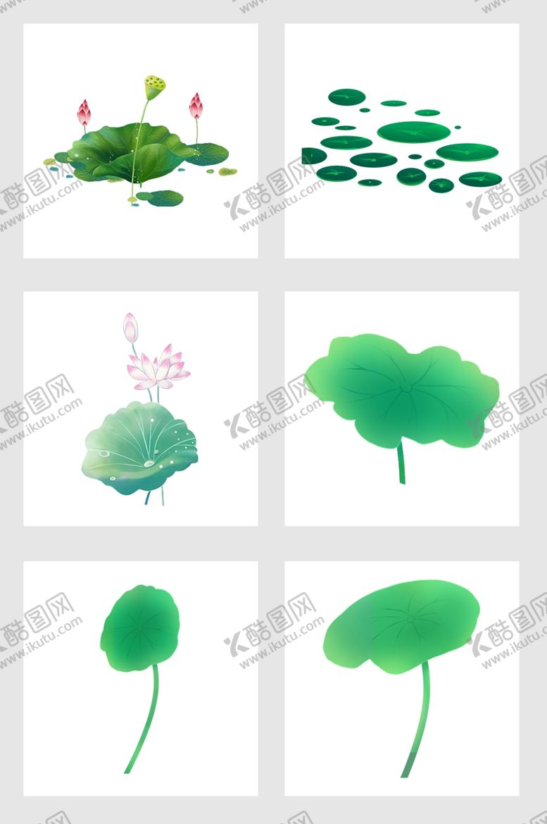 编号：48158810191922558574【酷图网】源文件下载-荷花荷叶