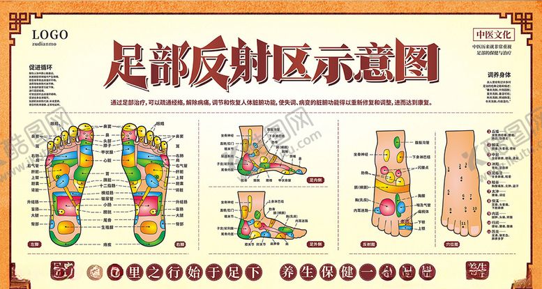 编号：36571309252137249574【酷图网】源文件下载-足部反射图