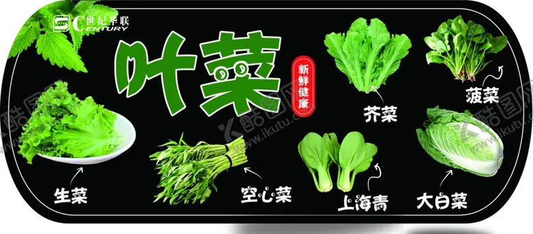 编号：69464704070721266464【酷图网】源文件下载-叶菜kt板吊旗