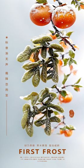 霜降节气海报柿子文字二十四
