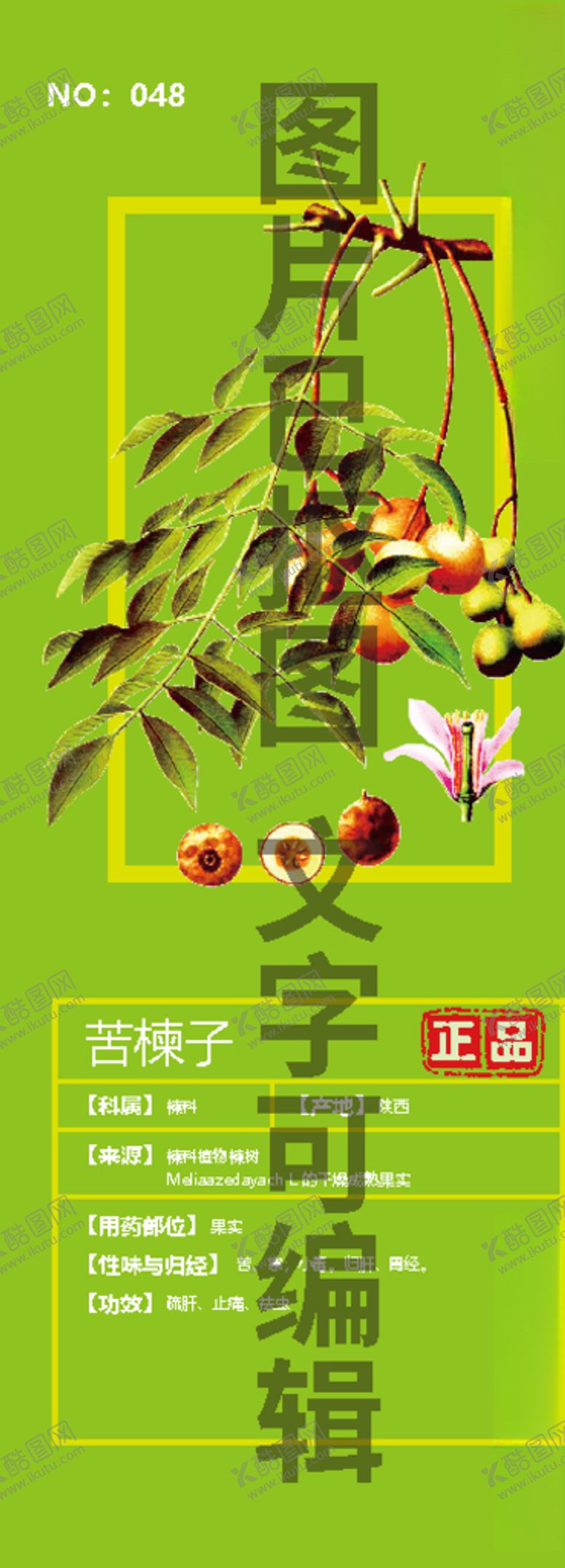 编号：90244809261721484912【酷图网】源文件下载-苦楝子