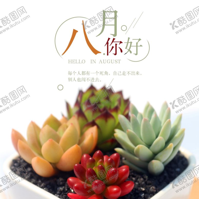 编号：44560506271809003094【酷图网】源文件下载-八月