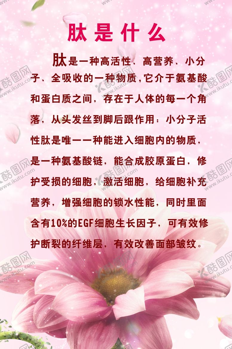 编号：73149605120454212967【酷图网】源文件下载-美容海报