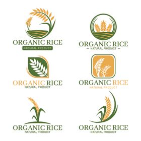 图标LOGO标志