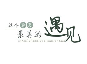 字体排版