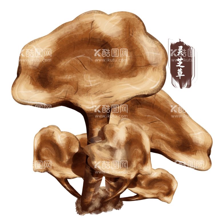 编号：59530511301808444298【酷图网】源文件下载-灵芝