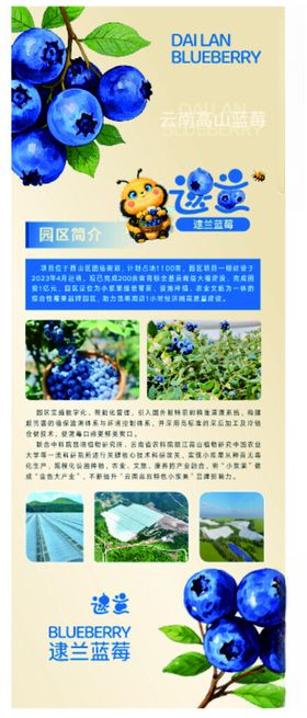 蓝莓展架海报