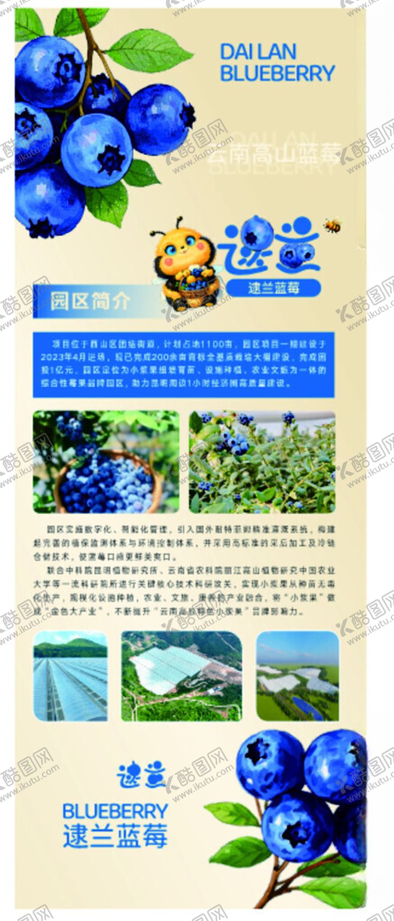 编号：85409411192122457862【酷图网】源文件下载-蓝莓展架海报