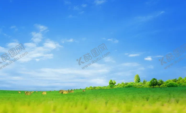 编号：42563104161413437837【酷图网】源文件下载-清新草地背景