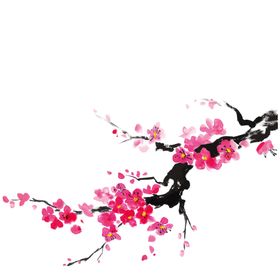 墨梅