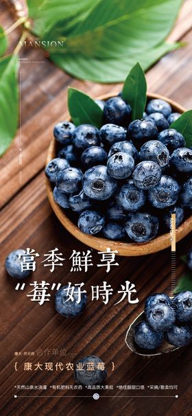 蓝莓采摘海报