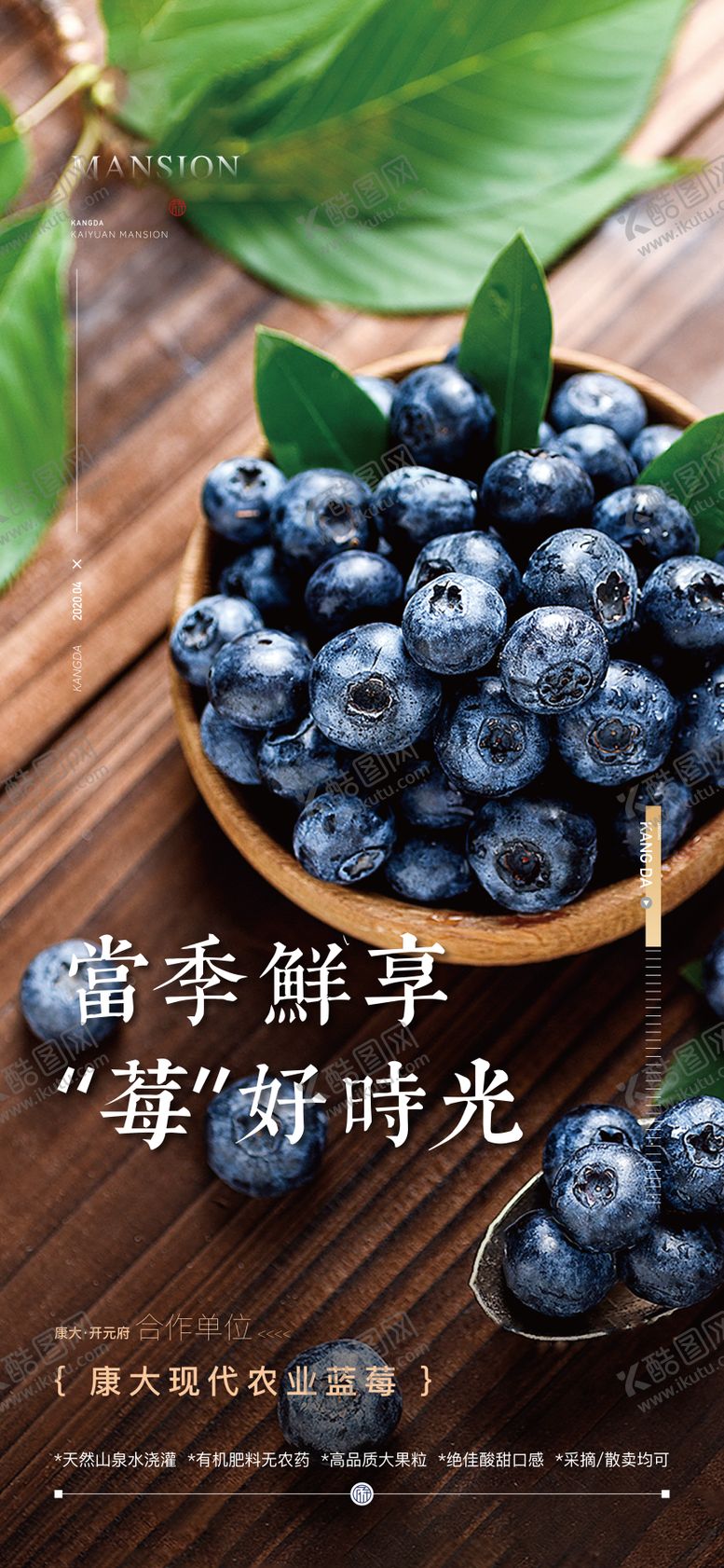 编号：41108905222305121774【酷图网】源文件下载-蓝莓采摘海报