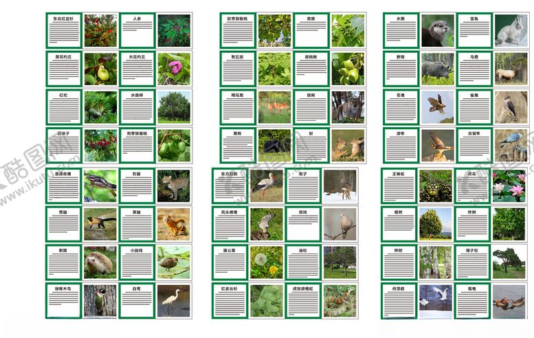 编号：62286211020446517500【酷图网】源文件下载-动植物科普