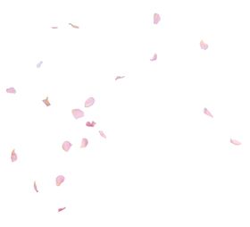樱花创意绘画图案