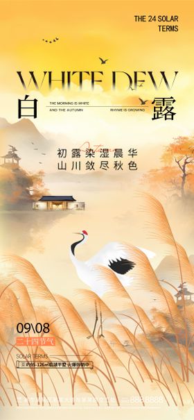 白露海报