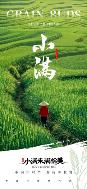 小满节气朋友圈海报