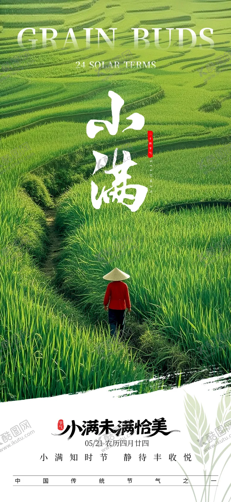 编号：80001005172308189062【酷图网】源文件下载-小满节气朋友圈海报